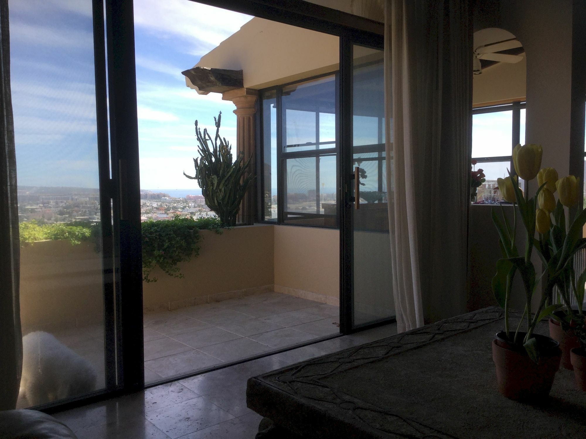Sunrise Cove Luxury Penthouse Apartamento Cabo San Lucas Exterior foto